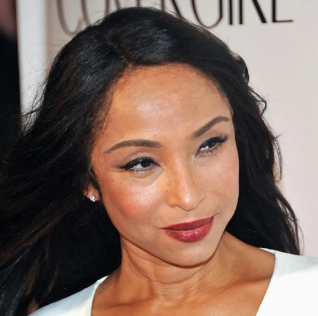 Sade The Voice of Elegant Soul 2