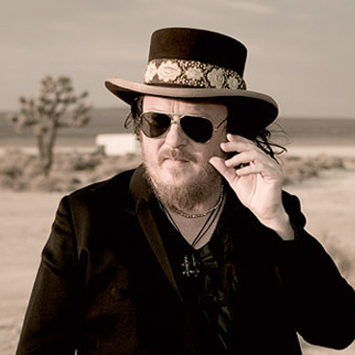 Zucchero Fornaciari: The Sweet Story of the Italian Blues Master 5